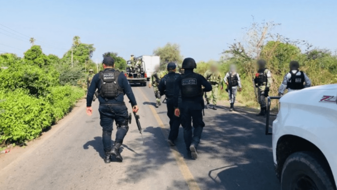 operativo-sedena-policias-tierra-caliente-michoacan-muertos.png