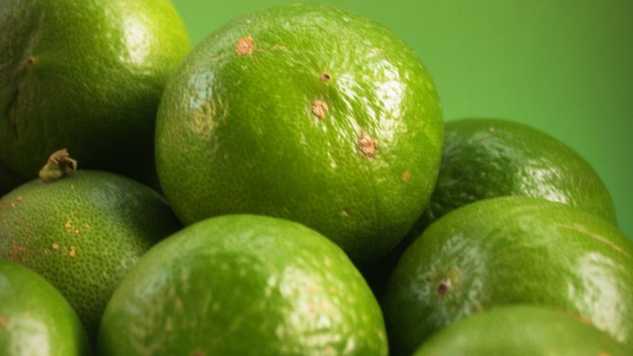 limon.jpg