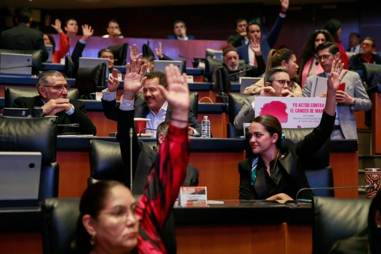 senadores-senado-votacion-1.jpg