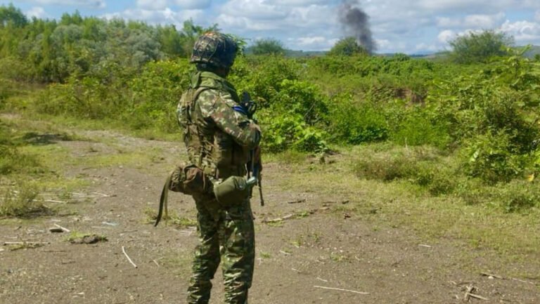elemento-de-las-fuerzas-militares-de-colombia-1-768x433-1.jpeg