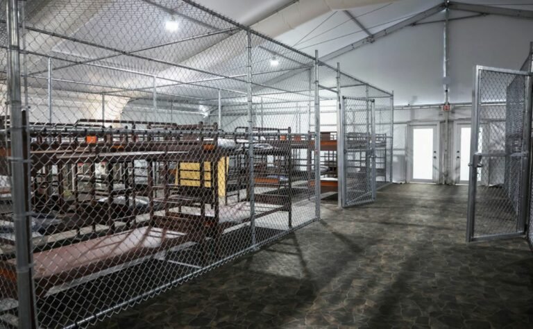instalaciones-de-alligator-alcatraz-768x474-1.jpg