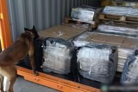 200-kilos-cocaina-aduana-ensenada-baja-california.jpg