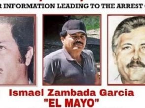 “El Mayo” Zambada no se entregó voluntariamente, asegura su abogado